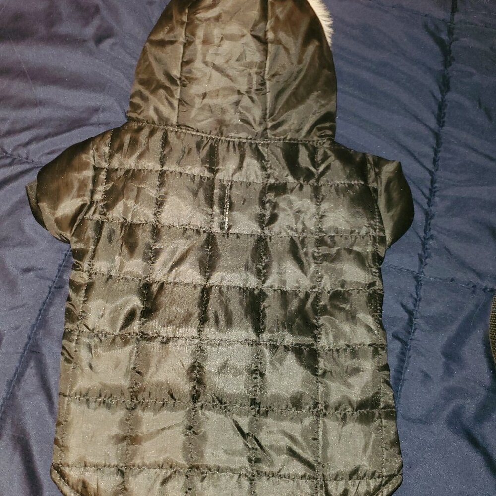 Dogs Winter Hoodie